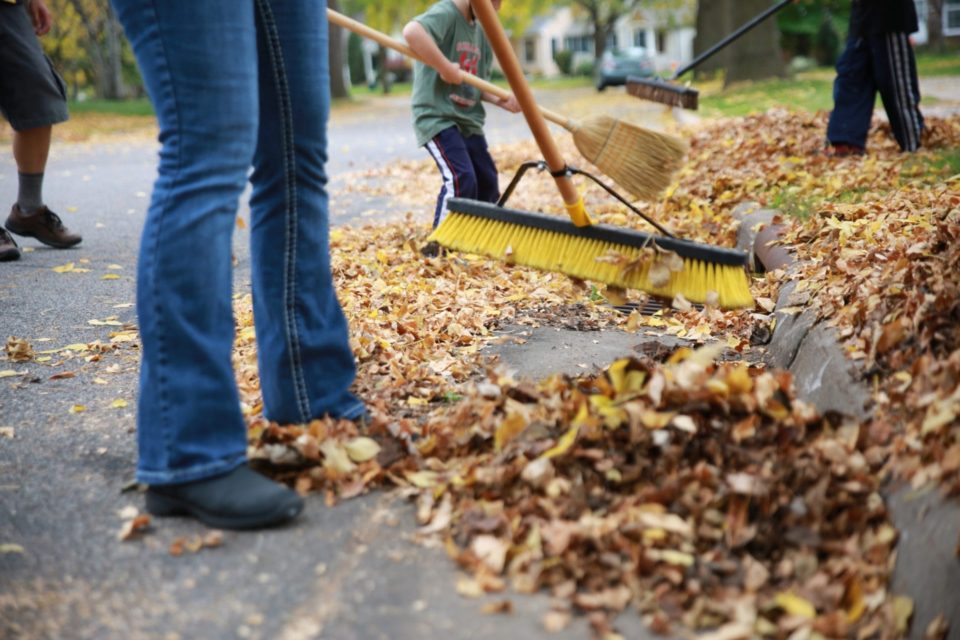 People using rakes and brooms to clear autumn leaves along a street curb. 