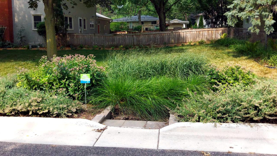 A manicured rain garden in a yard alongside a street with a break in the curb. The garden has a variety of native plants including tall grasses and shrubs, with a light blue informational sign and a wooden fence in the background. 