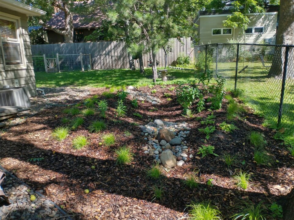 Well-maintained backyard oblong basin garden with multiple rows of native plants set in dark mulch and a formation of smooth river rocks in the middle. A wooden fence and part of a house are visible in the background.