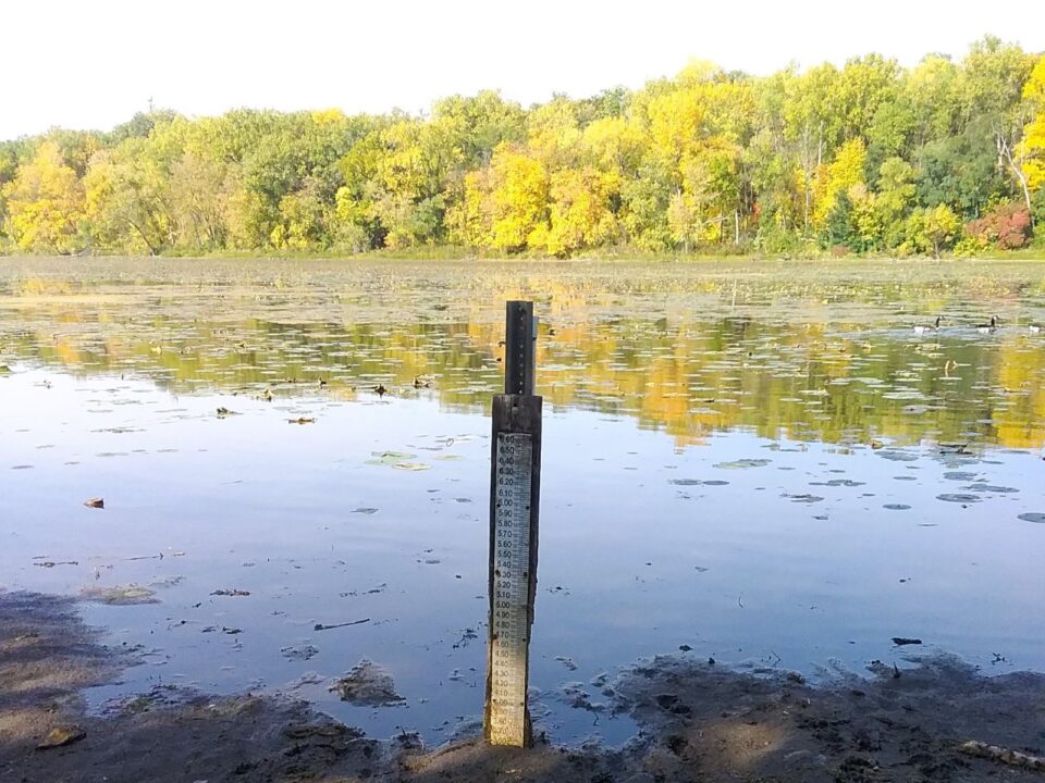 A lake level gauge on a post is surrounded by mud at the edge of Crosby Lake. A backdrop of dense trees along the shoreline displays vibrant fall foliage reflected in the tranquil lake. 