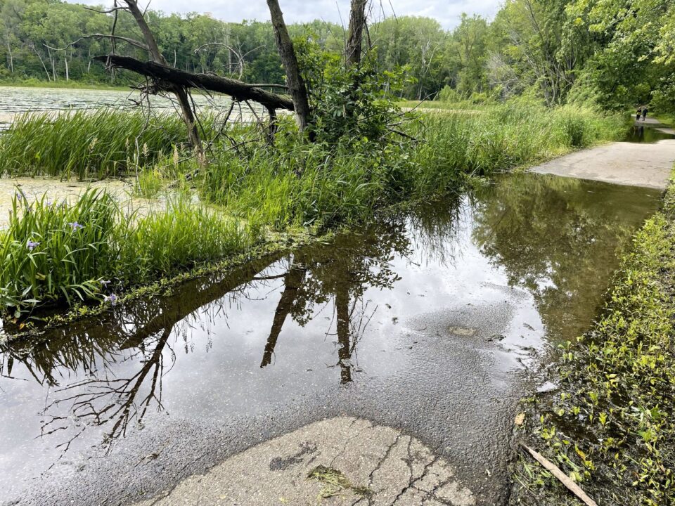 A paved pathway surrounded by lush greenery next to Crosby Lake is flooded from the high lake level. 