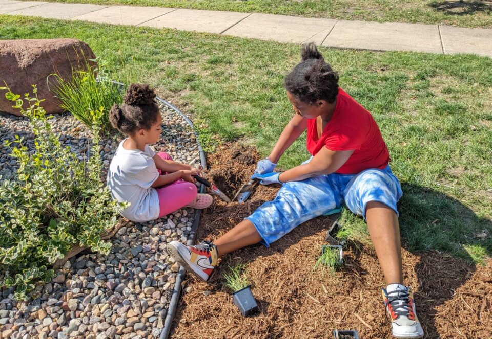 A child and an adult are gardening on a sunny day. They are sitting on the ground and digging a hole with trowels to plant seedlings in a mulched garden next to a turf grass lawn and rocky landscaped area.