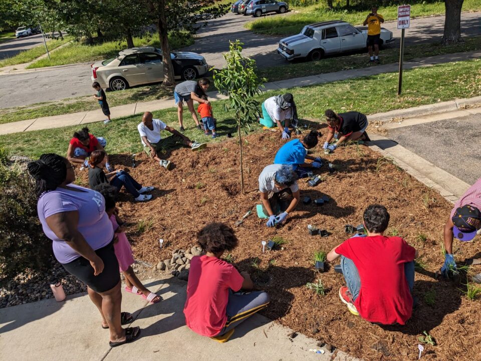 Several community members planting a mulched rain garden together on a sunny day.