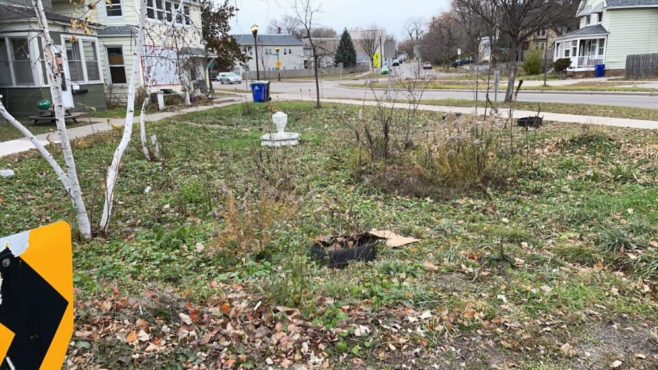 A small overgrown garden with dry grass and scattered leaves, a white birdbath, and some bushes along an urban street. There are houses, cars and a street sign in the background.